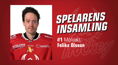 vallentuna-hockey-spelarens-insamling_felikx-olsson2.jpg