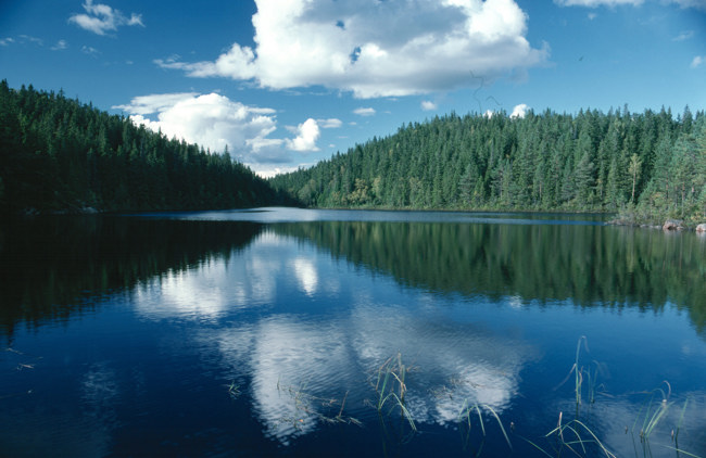 Kindla. Klosstjärn.jpg