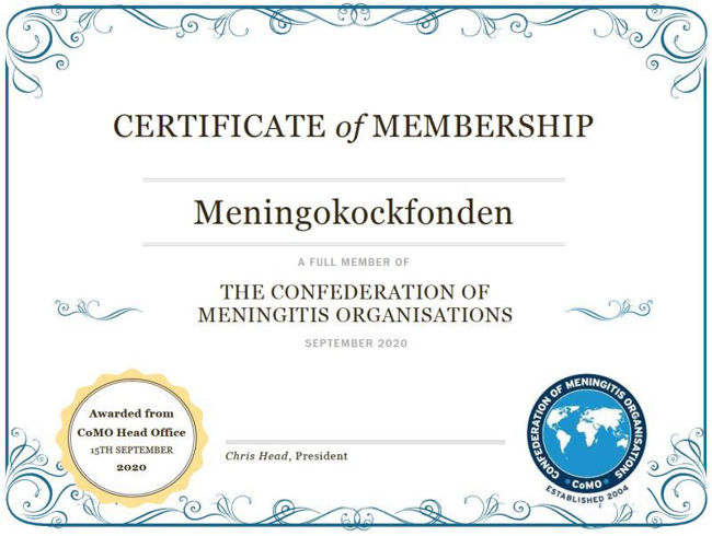 11/16/2021 1:56:49 PM.png