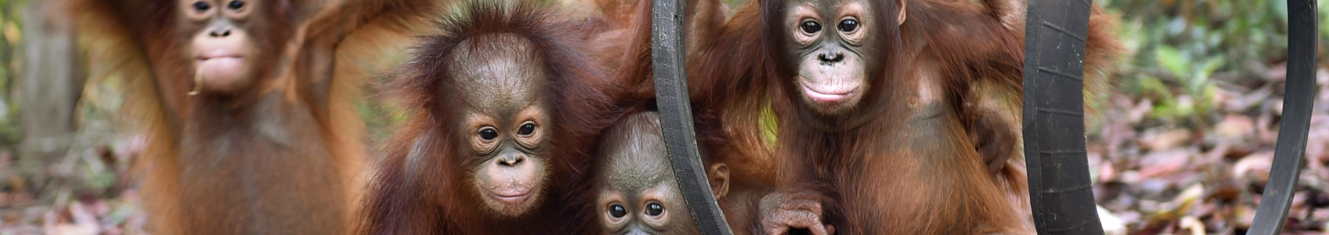 000_Hkg10222528.jpg (1)