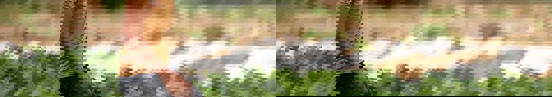 Targetaid Operation Mercy Hero 2000X1100