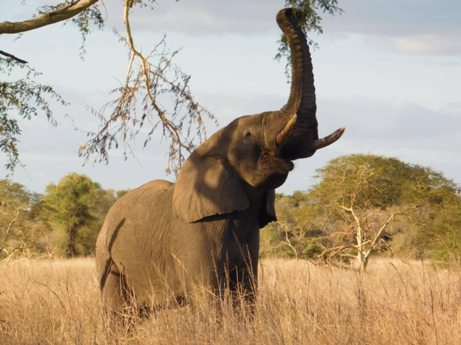 Skärmavbild 2021 11 09 Kl. 14.13.23