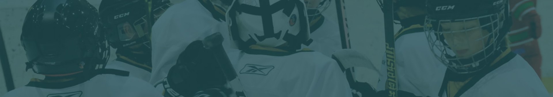 solleftea-hockey-background.jpg