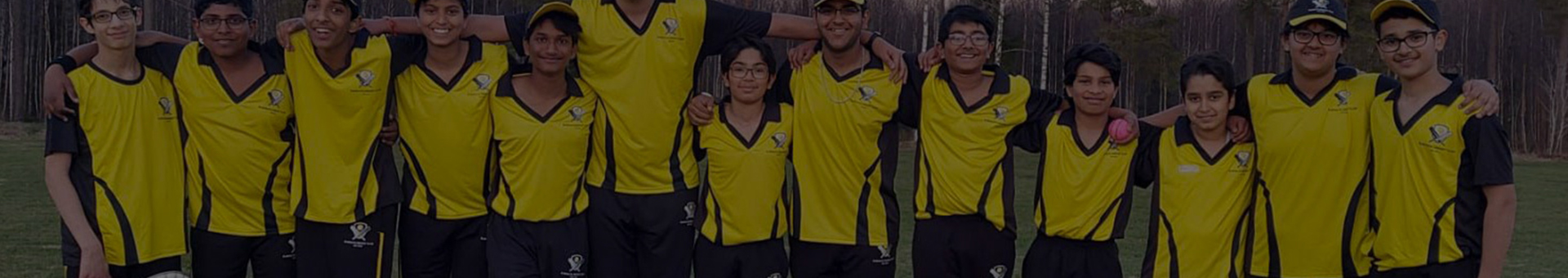 almhults-cricket-club-young-team-background.jpg