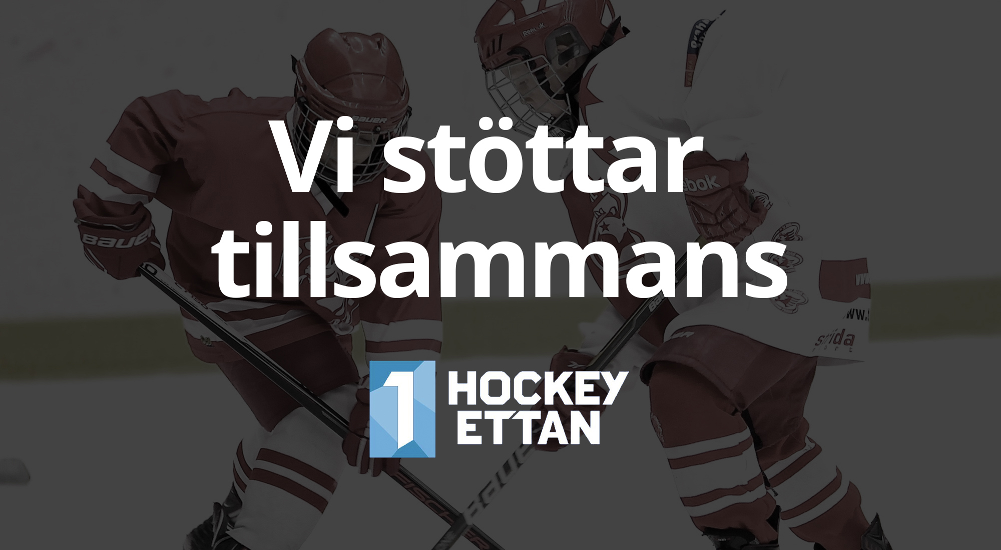 hockeyettan-vi-stottar-banner.jpg