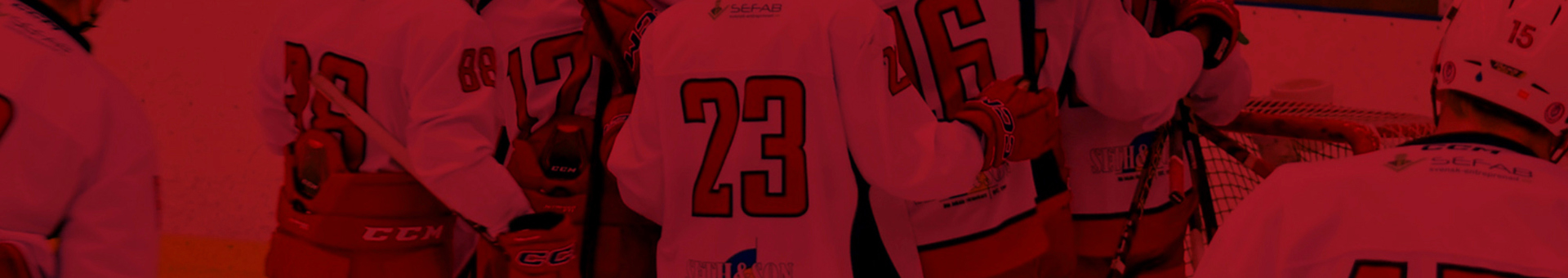 tumba-hockey_background_light.jpg