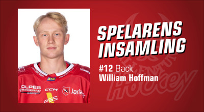 vallentuna-hockey-spelarens-insamling_William-Hoffman.jpg