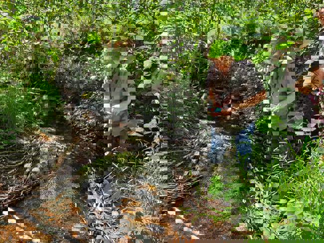 104176779_4035105769865400_8053930273316855341_n.jpg