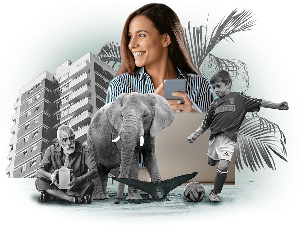 Targetaid Company Hero Collage 960X730 Tp