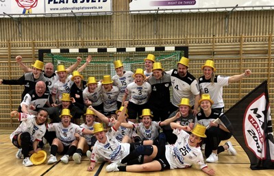 Allsvenskan 2024.JPG