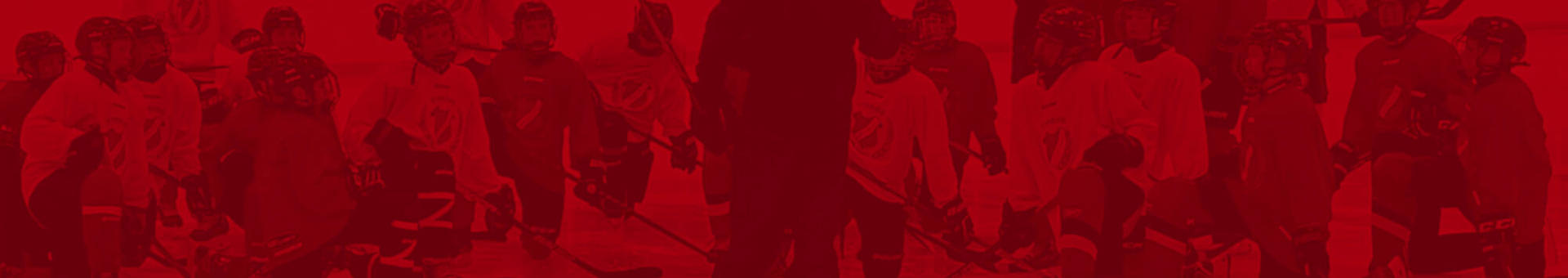 tyreso-hanviken-hockey-background_tp.jpg