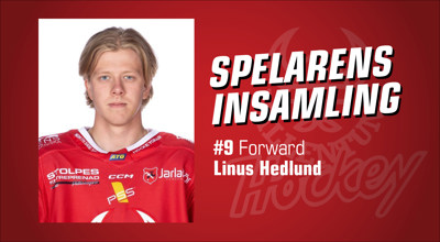 vallentuna-hockey-spelarens-insamling_Linus-Hedlund.jpg