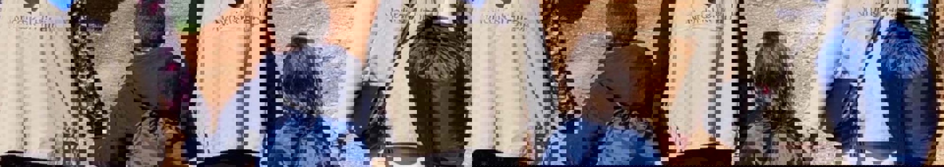 Tagetaid Nordisk Hjälp 2000X1100.Jpeg