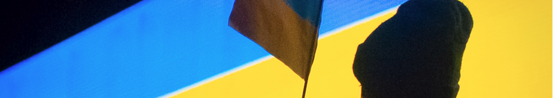 ukrainademo barn m flagga beskuren.PNG (2)