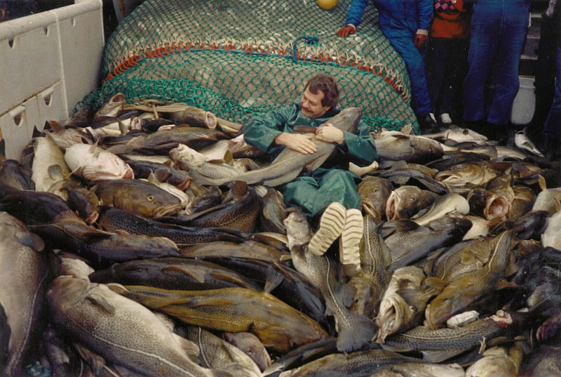 Eero Aro and big catch of cod in the southern Baltic 1987.JPG (3)