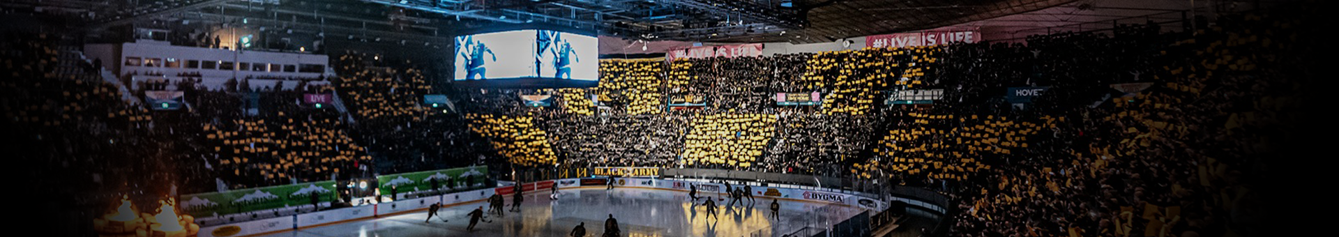 publikbanner.png (1)