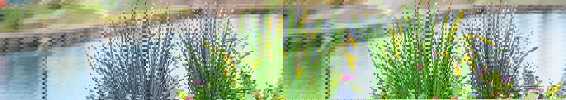 327717555_703124567963354_5204854738016761663_n.jpg