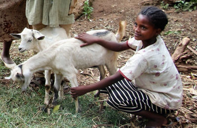 Get - kopia.jpg (3)