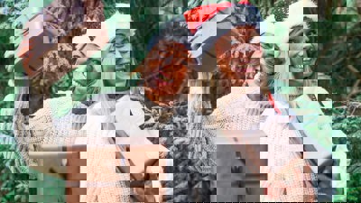 Omslag1200 julklappshjälpen.jpg