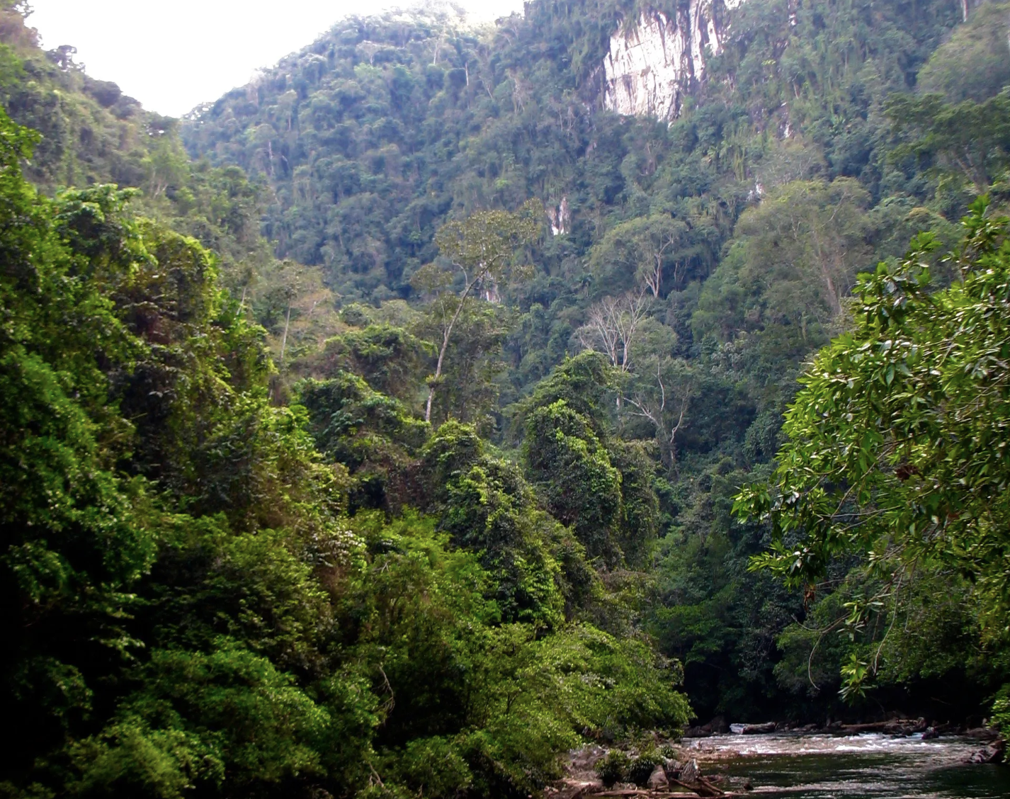 Skärmavbild 2025-04-11 kl. 10.14.04.png