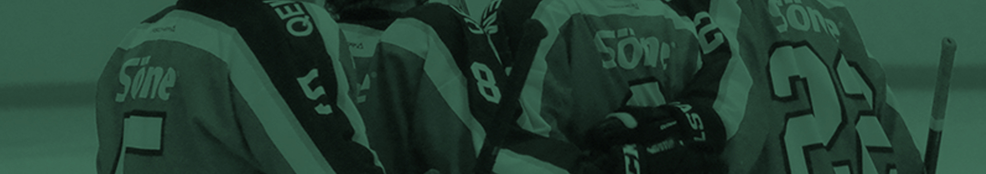 guldsmedshytte-sk-background.jpg
