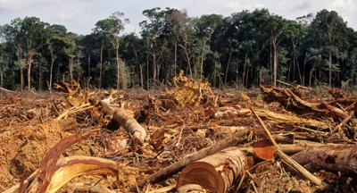 chuck 2025-08-11 at 10.51.49.png