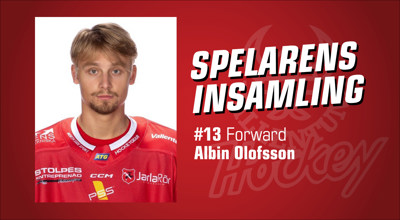vallentuna-hockey-spelarens-insamling_Albin-Olofsson.jpg