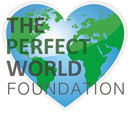 Targetaid The Perfect World Foundation Logo 228X228