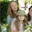 IMG_20230620_093224_672.webp