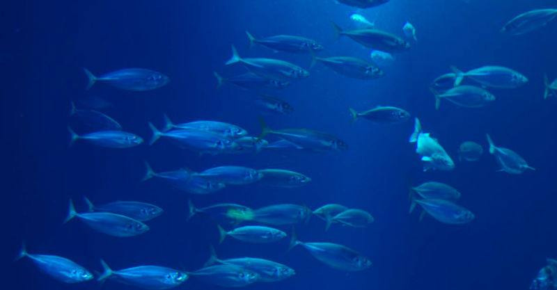 Skärmavbild 2020-06-17 kl. 15.33.29.png (3)