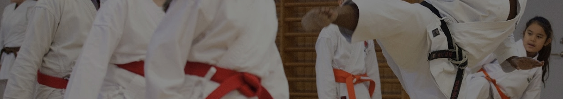 kazuku-shotokan-klubb-bakgrund.jpg