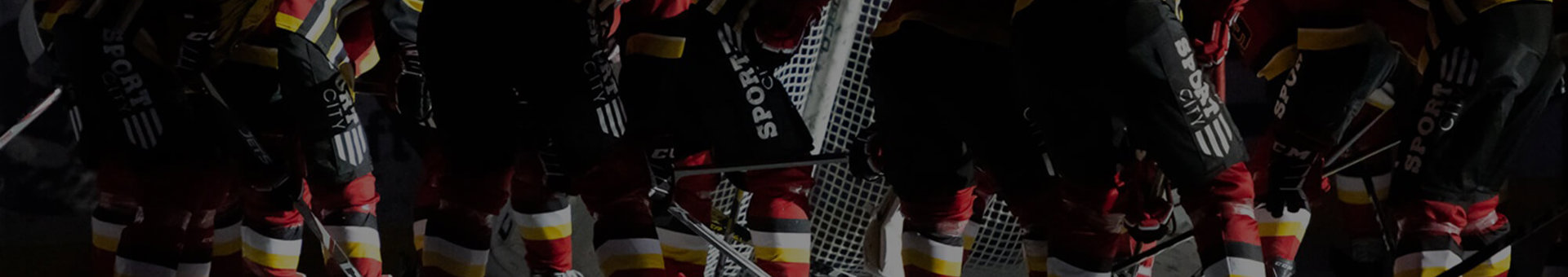 SK-Lejon-background_tp.jpg