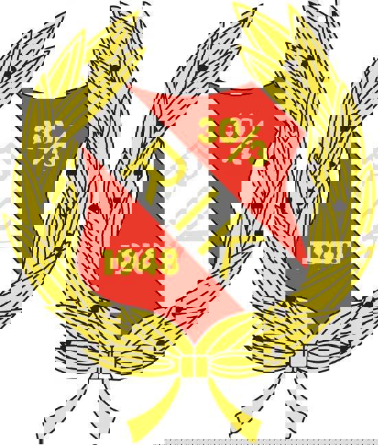 302334539_527677559159510_471638231431540537_n.jpg (1)