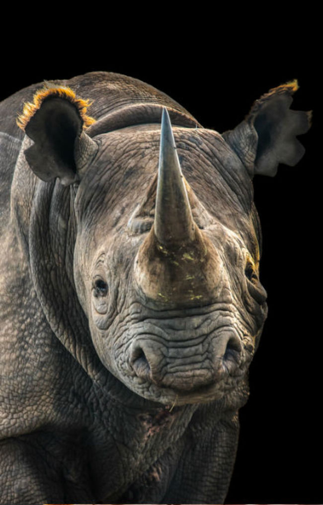 11/16/2021 2:51:02 PM.png