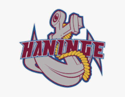 Skärmavbild 2022-12-13 kl. 10.19.03.png (4)