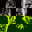 börje_r.jpg (1)