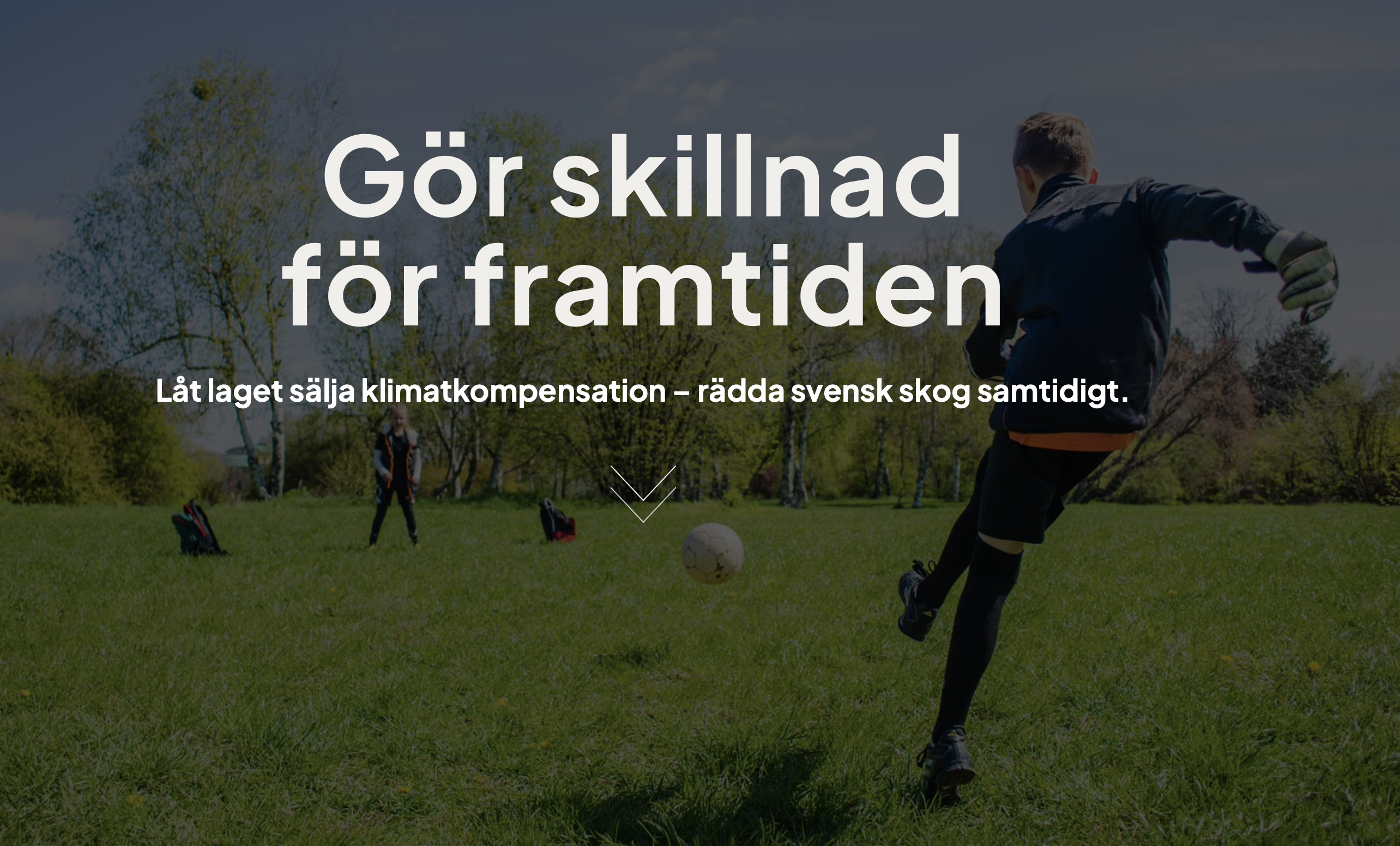 Skärmavbild 2025-05-14 kl. 11.39.20.png