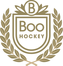Boo-HC-Logo-For-skarm-RGB.png