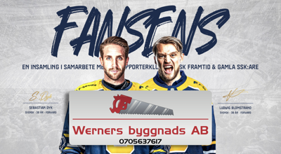 werners byggnads ab.001.png