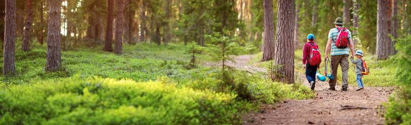 AdobeStock_205073273_WEBBEN_beskuren.jpg (3)