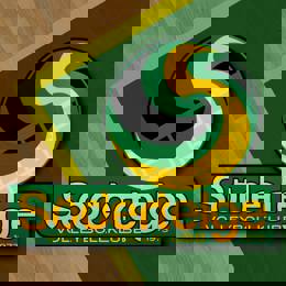 sodertelge-volleybollklubb-logo.jpeg (1)