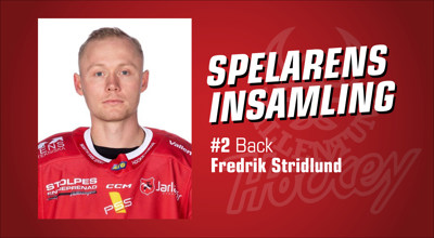 vallentuna-hockey-spelarens-insamling_Fredrik-Stridlund.jpg