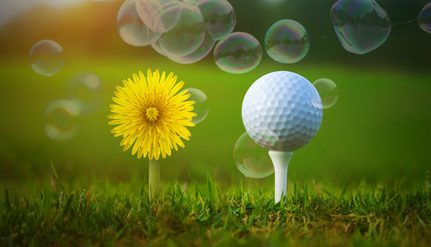 Targetaid Case Golf Charity Maskrosbarn 1240X710 Tp (1)
