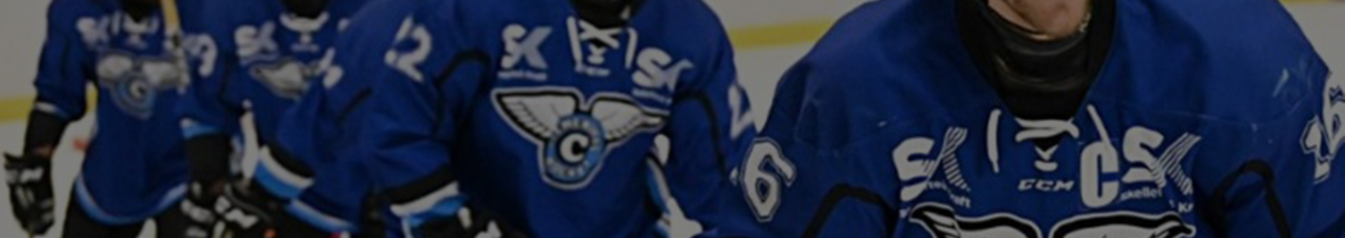 Clemensnas-hockey-background_2000x1100.jpg