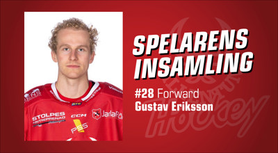 vallentuna-hockey-spelarens-insamling_Gustav-Eriksson.jpg