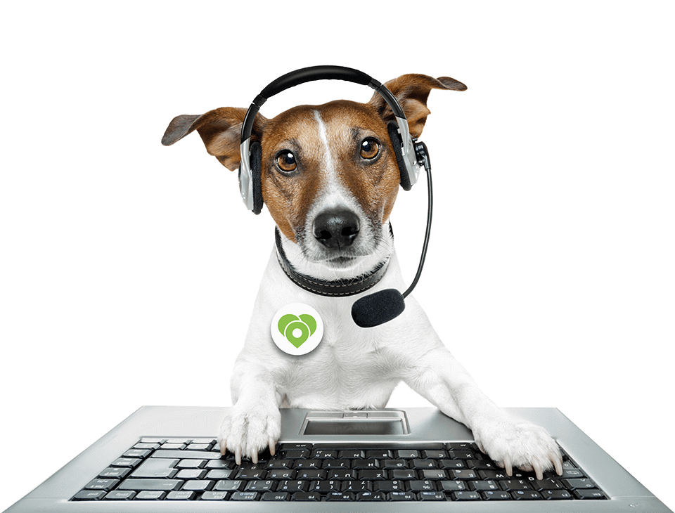 Targetaid Book A Demo Dog 960X730 Tp