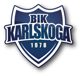 BIK logo.png