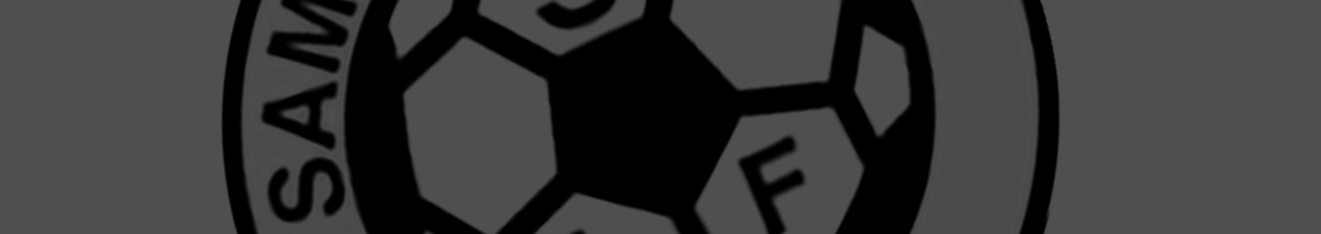 samuelsdals-if-innebandy-background--.jpg (1)