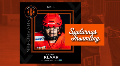 uppsala-hockey-spelarnas-insamling-olivia-klaar.jpg