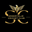 sodertalje-cricket-club-logo.png